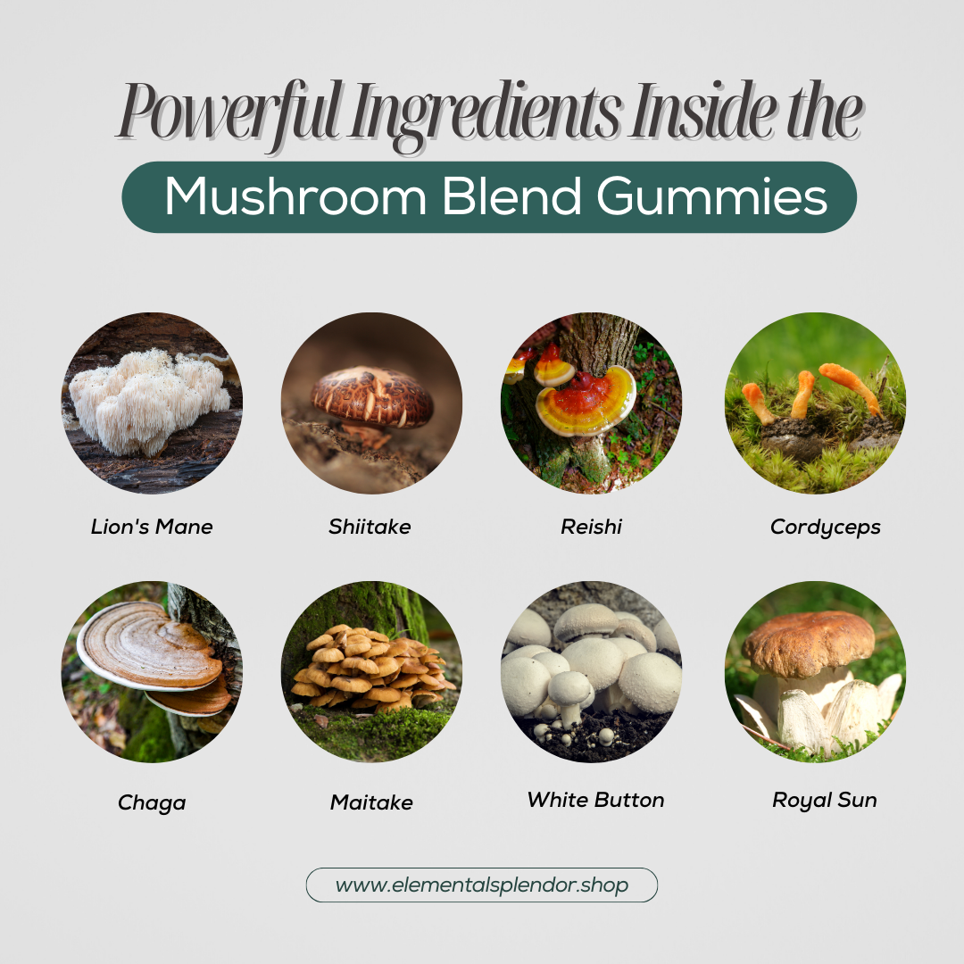 Mushroom Gummies (Extract Complex)